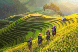 vietnam sapa