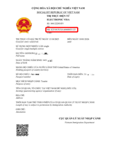 https://www.trustpilot.com/review/vietnamvisaeasy.com?utm_medium=trustbox&utm_source=TrustBoxReviewCollector